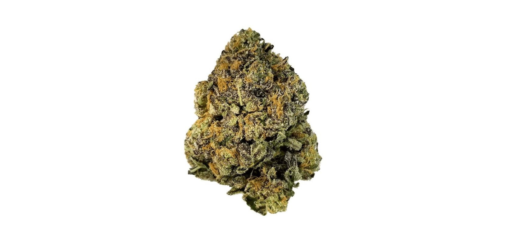 When it comes to the aroma and flavours, the Platinum Rockstar strain is an earthy and pungent bud - much like the original.