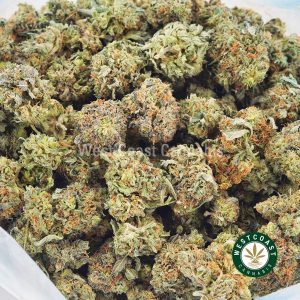 Buy weed Rockstar Peanut Butter AAAA wccannabis weed dispensary & online pot shop