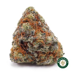 Buy weed Gorilla Cookies AAA wccannabis weed dispensary & online pot shop