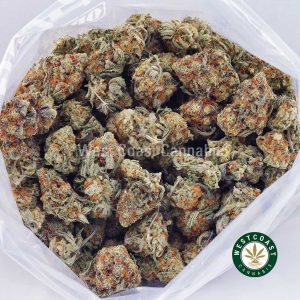 Buy weed Gorilla Cookies AAA wccannabis weed dispensary & online pot shop