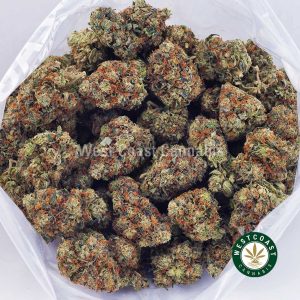 Buy weed Purple Gas AAA wccannabis weed dispensary & online pot shop