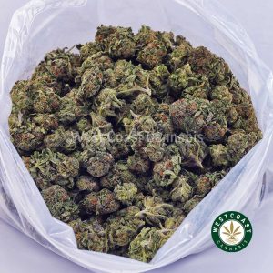 Buy weed Cali Kush AA wccannabis weed dispensary & online pot shop