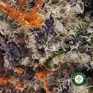 Buy weed Cookie Monster AA wccannabis weed dispensary & online pot shop