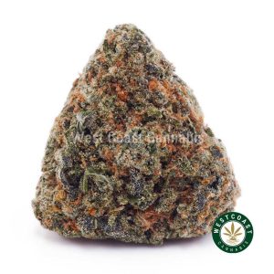 Buy weed Pink Champagne AAA wccannabis weed dispensary & online pot shop