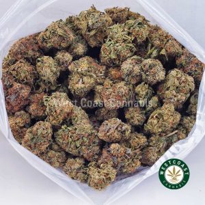Buy weed Pink Champagne AAA wccannabis weed dispensary & online pot shop