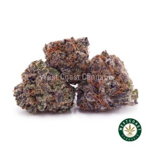 Buy weed Purple Punch AAAA (Popcorn Nugs) wccannabis weed dispensary & online pot shop