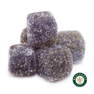 Buy Golden Monkey Extracts - Mini Bites Gummy - Black Cherry - 300mg THC at Wccannabis Online Shop