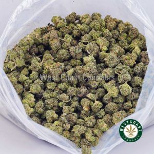 Buy weed Master Kush Ultra AAAA (Popcorn Nugs) wccannabis weed dispensary & online pot shop