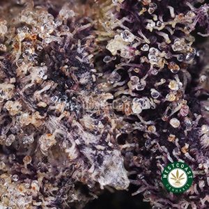 Buy weed Purple Afghani AAAA wccannabis weed dispensary & online pot shop