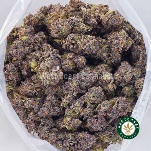 Buy weed Purple Afghani AAAA wccannabis weed dispensary & online pot shop