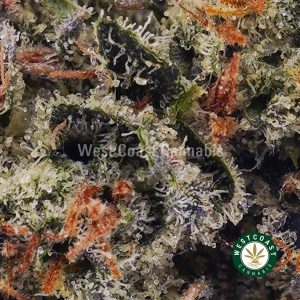 Buy weed Death Star AAA wccannabis weed dispensary & online pot shop
