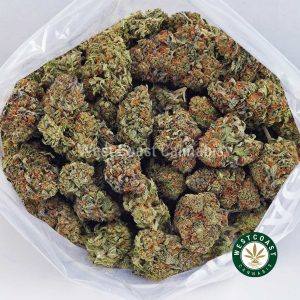 Buy weed Strawberry Cheesecake AA wccannabis weed dispensary & online pot shop