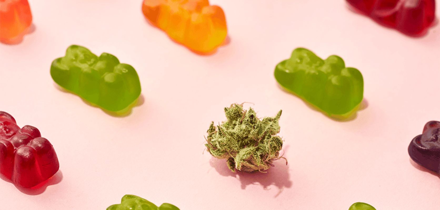 Those mouth-watering goodies that look like real candies from our childhood are actually weed gummies! They come in a wide array of flavours, colours, and shapes - think pastries, THC gummy bears, and chips! 