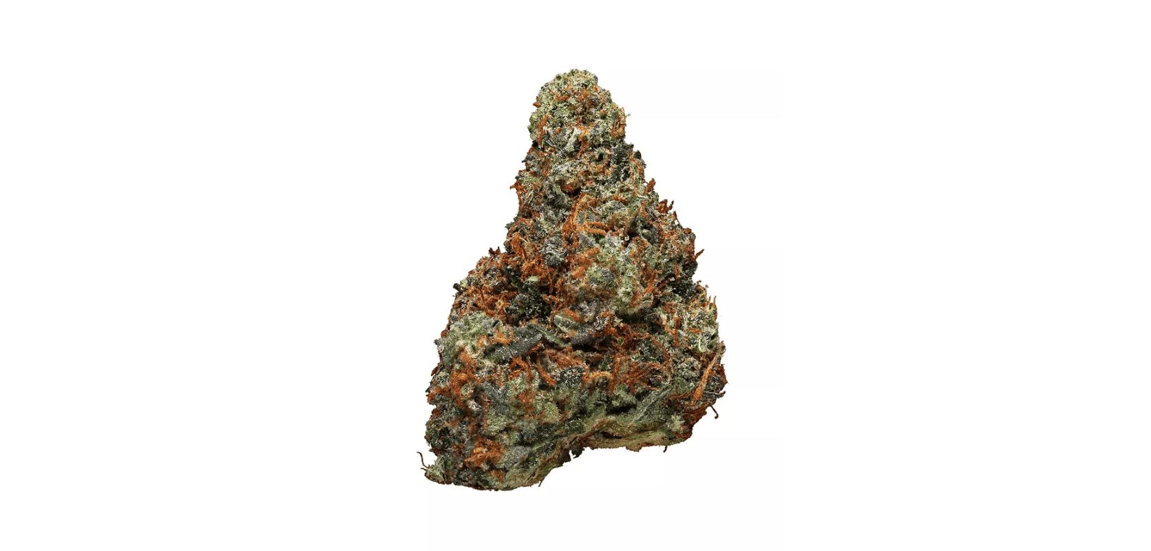 In a nutshell, the Rockstar strain is an Indica-leaning hybrid, with an Indica to Sativa ratio of 70 to 30 percent. 
