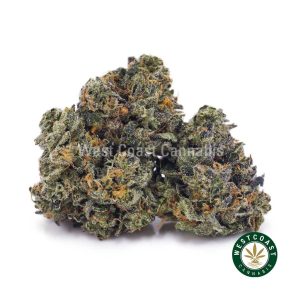Buy weed Acapulco Gold AAAA (Popcorn Nugs) wc cannabis weed dispensary & online pot shop