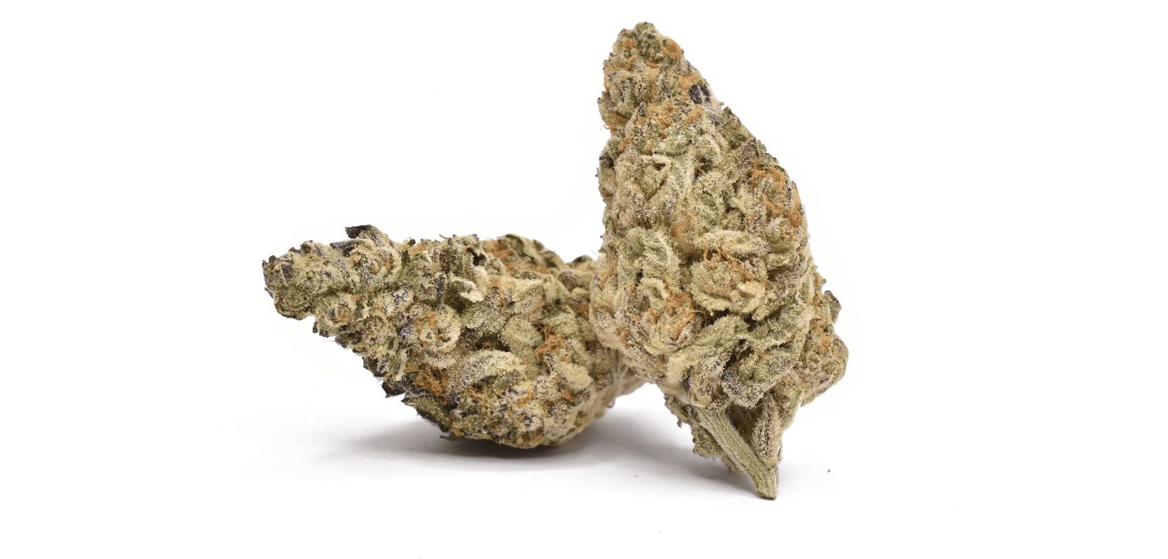 We've talked about the importance of purchasing your BC weed online from a credible dispensary. 
