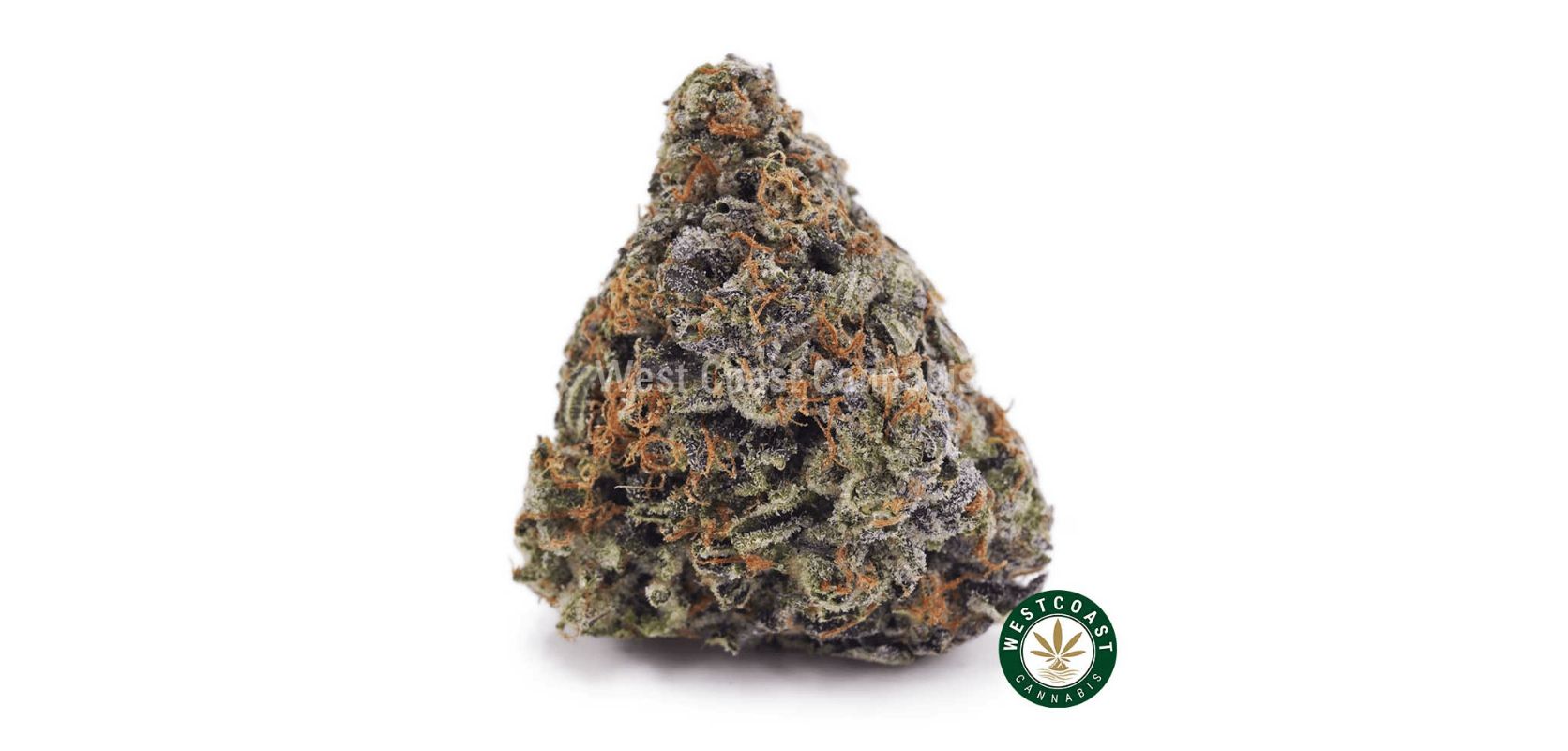 What if we told you that top shelf BC bud can turn you into a green monster? Smoke the Bruce Banner AAAA, a superhero-approved top shelf BC bud and a robust Sativa hybrid with 27 percent of THC. 