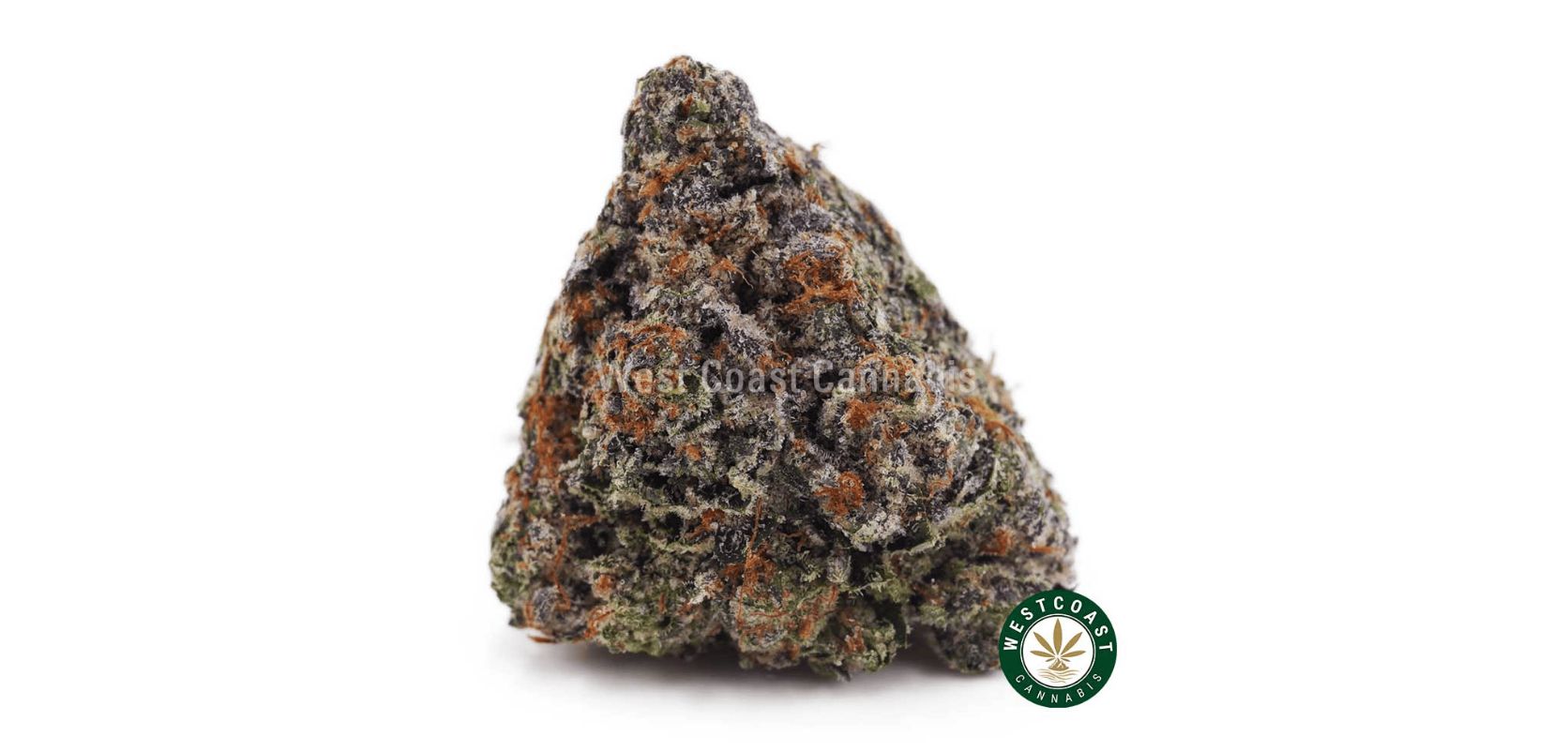 The Gassy Gelato AAAA+ is another top shelf BC bud with enticing flavour and even more mind-blowing effects. 