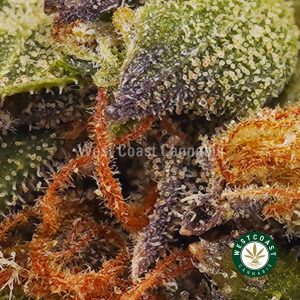 Buy weed Grapefruit Haze AA wc cannabis weed dispensary & online pot shop