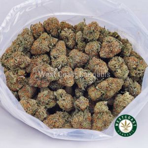 Buy weed Hindu Skunk AAA wccannabis weed dispensary & online pot shop