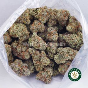 Buy weed Jet Fuel Gelato AAA wc cannabis weed dispensary & online pot shop