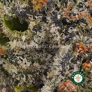 Buy weed King Bubba AAAA (Popcorn Nugs) wc cannabis weed dispensary & online pot shop