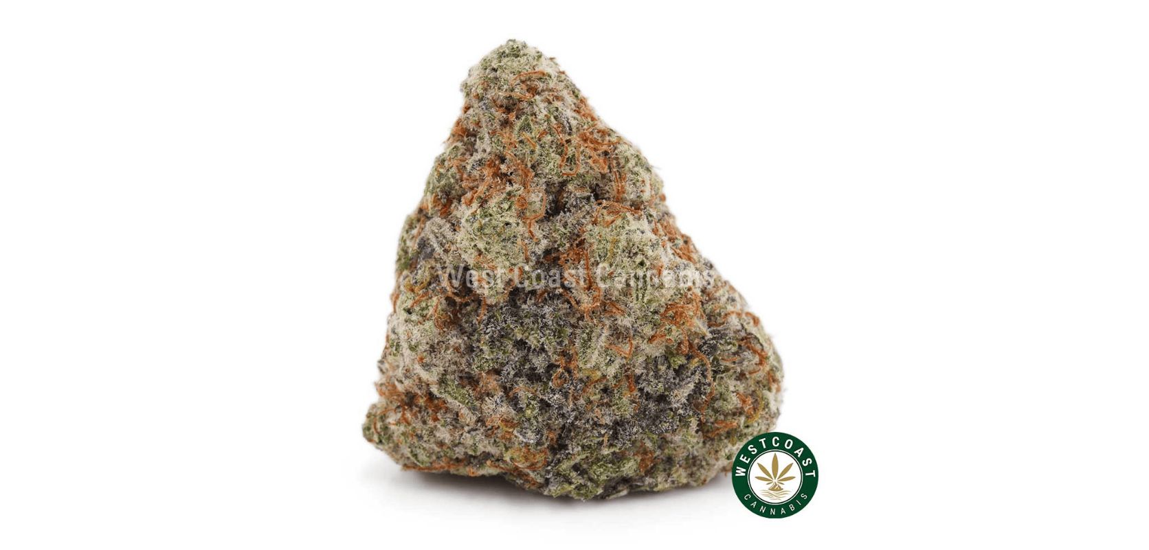 The Miracle Alien Cookies strain is 50 percent Indica and 50 percent Sativa with the dankest sour citrus flavour and herbal aroma. 