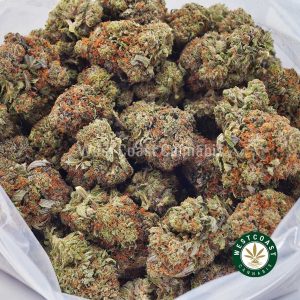 Buy weed Purple Gas AA wccannabis weed dispensary & online pot shop
