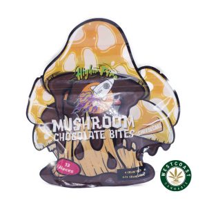 Buy Higher Fire Extract - Mushroom Chocolate Bites - Cheesecake 4000mg at Wccannabis Online Shop