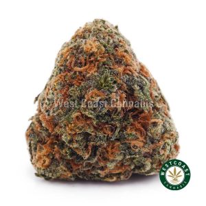 Buy weed Blueberry Kush AAA wccannabis weed dispensary & online pot shop