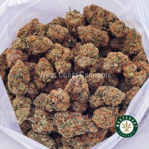 Buy weed Blueberry Kush AAA wccannabis weed dispensary & online pot shop