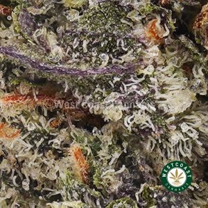 Buy weed Comatose OG AAAA (Popcorn Nugs) wc cannabis weed dispensary & online pot shop