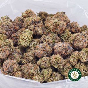 Buy weed Blueberry Rockstar AAA wc cannabis weed dispensary & online pot shop