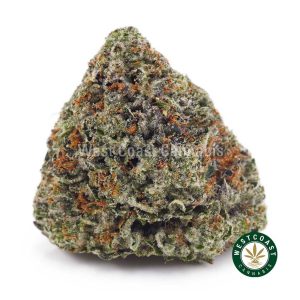 Buy weed Blue Cookies AAAA wc cannabis weed dispensary & online pot shop