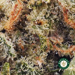 Buy weed OG Skunk AAA wc cannabis weed dispensary & online pot shop