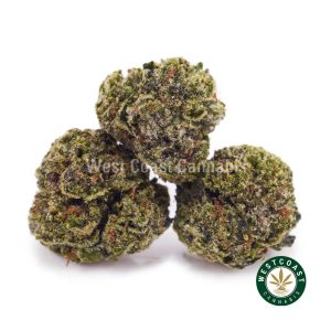 Buy weed Green Gas AAAA (Popcorn Nugs) wc cannabis weed dispensary & online pot shop