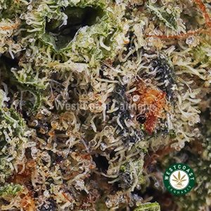 Buy weed White Widow AAAA wc cannabis weed dispensary & online pot shop