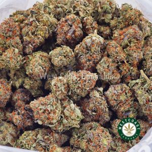 Buy weed Alien OG AA wc cannabis weed dispensary & online pot shop
