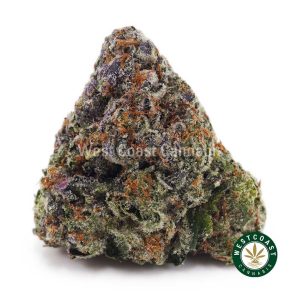 Buy weed Animal Cookies AAAA wc cannabis weed dispensary & online pot shop