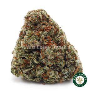 Buy weed Blueberry Kush AA wc cannabis weed dispensary & online pot shop