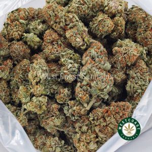 Buy weed Blueberry Kush AA wc cannabis weed dispensary & online pot shop