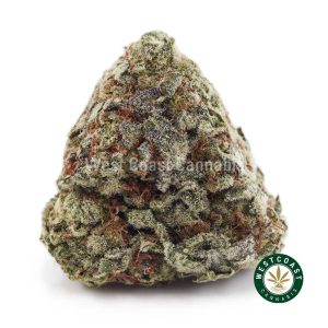Buy weed Gushers AAAA wc cannabis weed dispensary & online pot shop