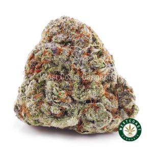 Buy weed Jack Frost AAAA wc cannabis weed dispensary & online pot shop