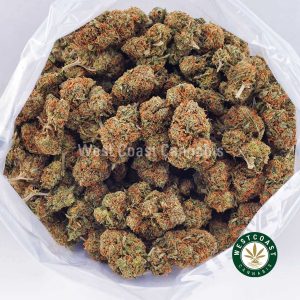 Buy weed Khalifa Mintz AAAA wc cannabis weed dispensary & online pot shop
