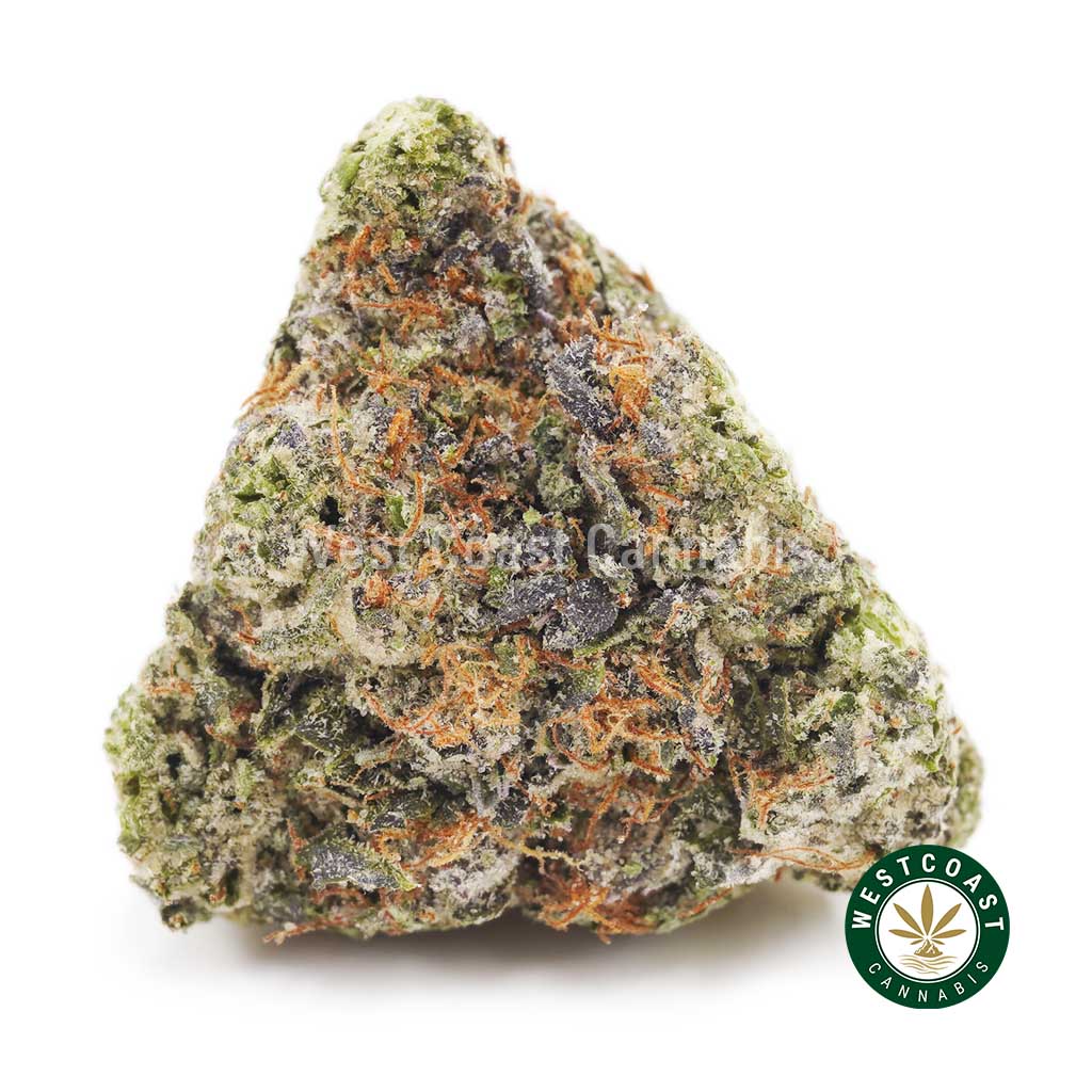 Buy weed Master Kush Ultra AAAA wc cannabis weed dispensary & online pot shop