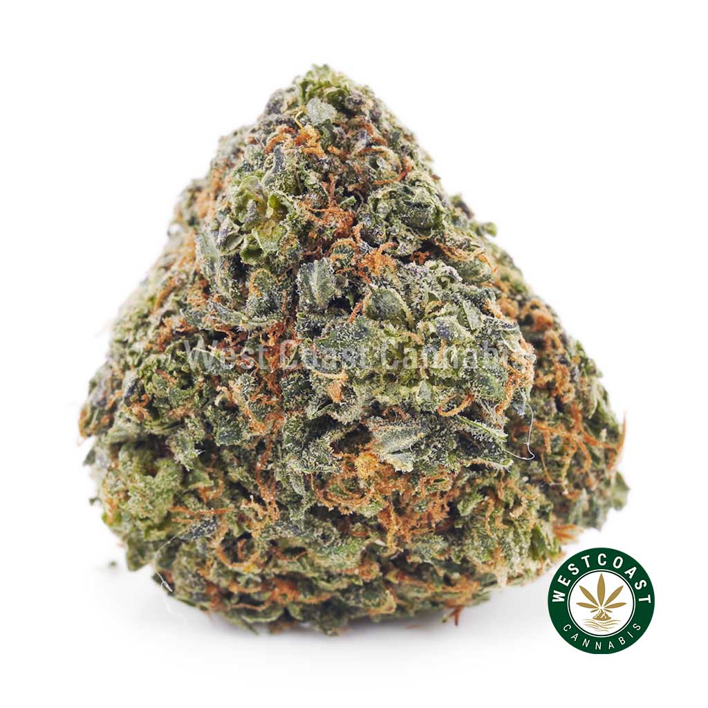 Buy weed Orange Creamsicles AAAA wc cannabis weed dispensary & online pot shop