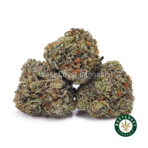 Buy weed Pre-98 Bubba Kush AAAA (Popcorn Nugs) wc cannabis weed dispensary & online pot shop