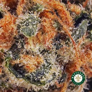Buy weed Romulan AAAA wc cannabis weed dispensary & online pot shop