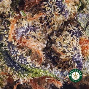 Buy weed Strawberry Haze AAA wc cannabis weed dispensary & online pot shop