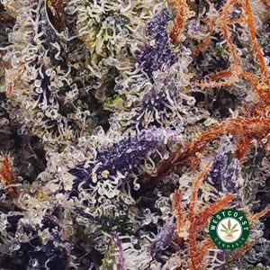 Buy weed Purple Bruce Banner AAAA wc cannabis weed dispensary & online pot shop